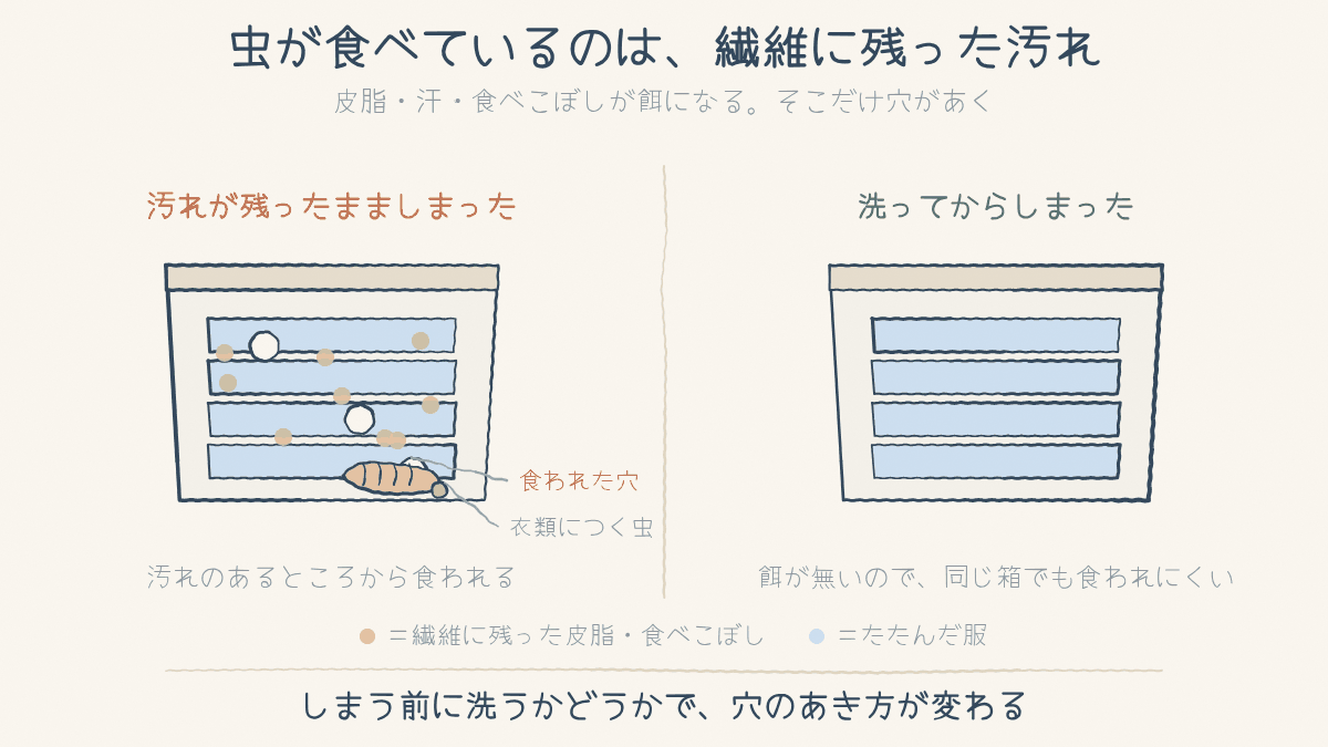 汚れが残った服には穴があき、洗ってからしまった服には穴があかないことを比べた図