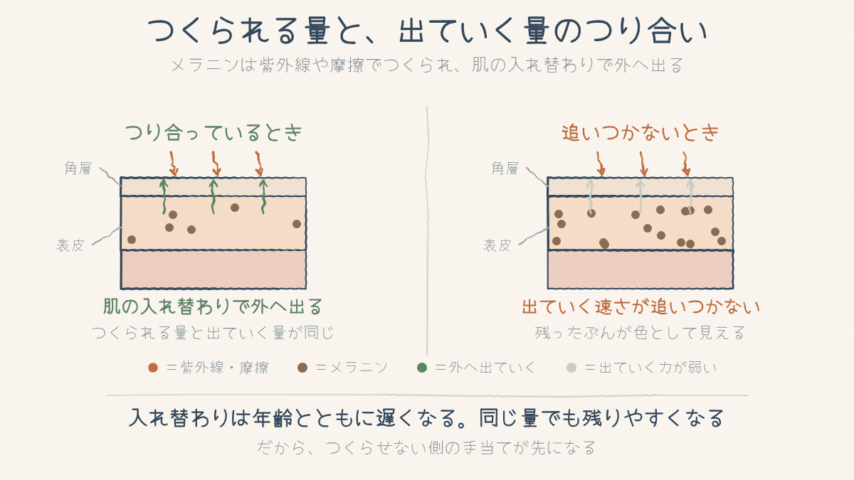 メラニンがつくられる量と出ていく量がつり合っているときと、追いつかないときを比べた図