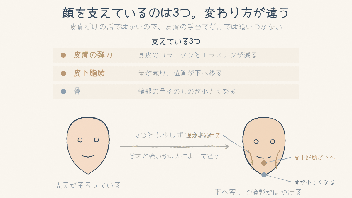 顔を支えている皮膚の弾力・皮下脂肪・骨の3つと、輪郭の変わり方の図