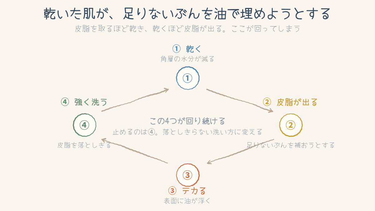 乾く→皮脂が出る→テカる→強く洗う→また乾く、の4つが回る図