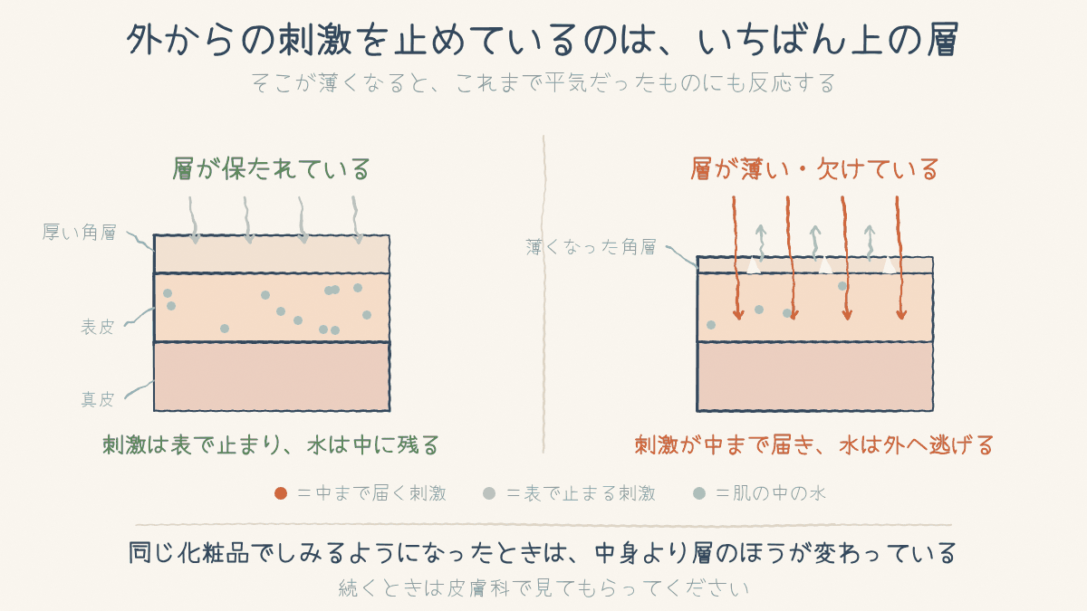 角層が保たれているときと薄いときで、外からの刺激と肌の中の水の動きを比べた断面図