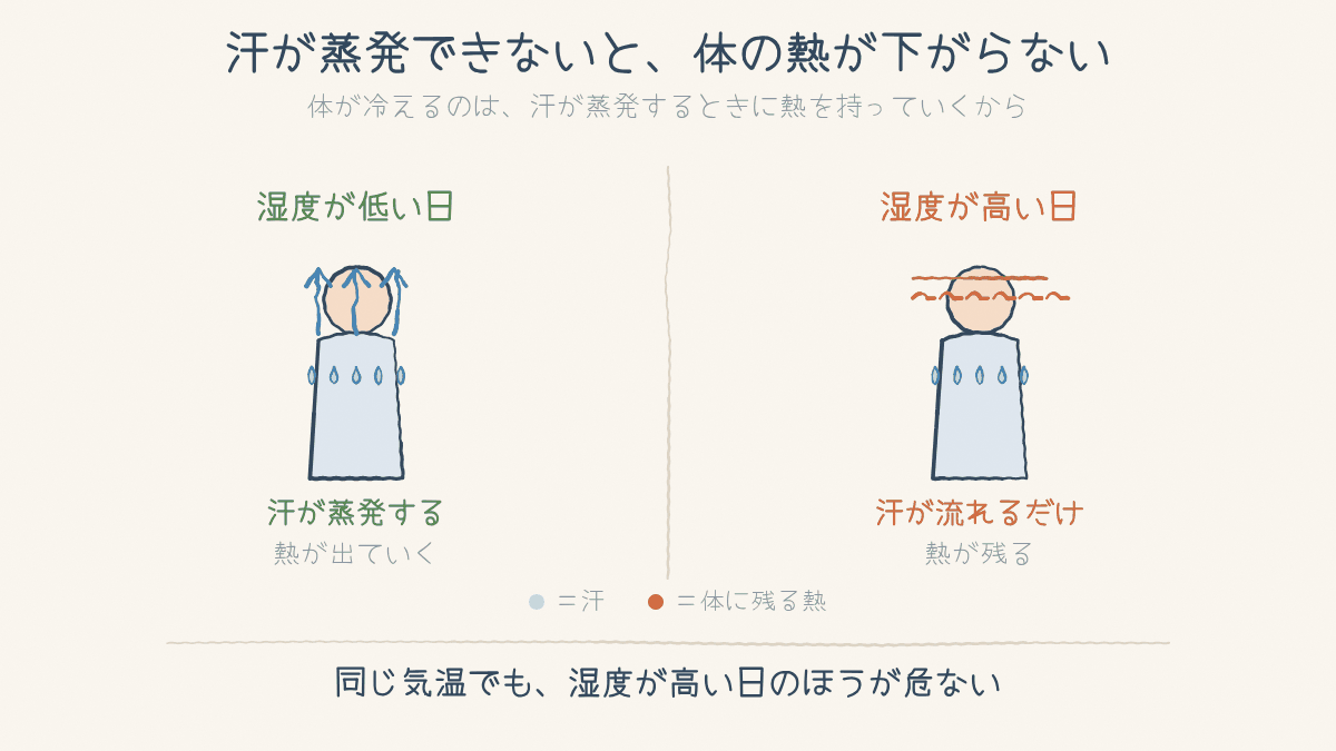 湿度が低い日は汗が蒸発して熱が出ていくが、高い日は汗が流れるだけで熱が残ることを比べた図