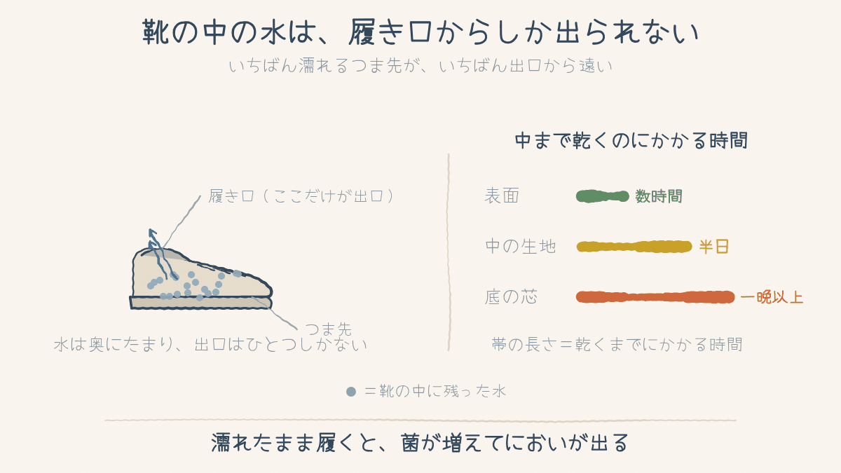 靴の断面。水はつま先にたまり、出口は履き口だけ。表面・中の生地・底の芯で乾く時間が違う