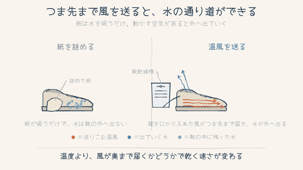 紙を詰めた靴と、乾燥機でつま先まで温風を送った靴を比べた図